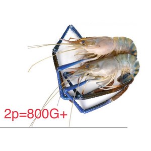 FROZEN GIANT SHRIMP 냉동 큰징거미새우(통새우) 인도 2마리 냉동제품 반품불가 {1KG (NET WEIGHT 800g)}/1PACK, 1kg, 1개