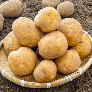 달쿵 국내산 수미 감자 강원도 햇감자, 1개, 감자 중 3kg
