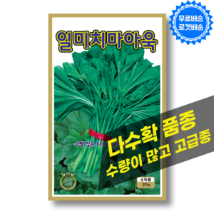 아욱 씨앗 20g 다수확 아욱 씨 종자 채소 키우기, 1개