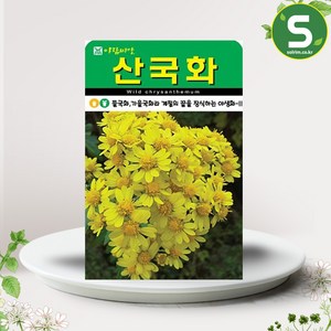 솔림텃밭몰 산국화씨앗 10000립 산국화 꽃씨앗 꽃씨 야생화, 1개