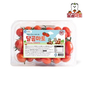 달곰마토 스테비아 방울토마토, 1개, 500g