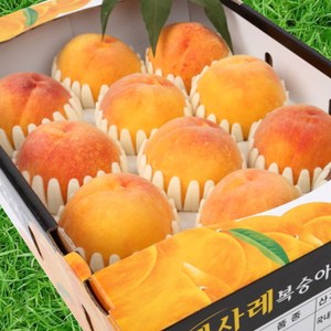 당도보장 프리미엄 황도 복숭아, 1개, 4kg (소과)