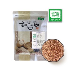 국내산 유기농수수 500g (2024년산), 1개