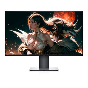 DELL UltaShap U2719D 16:9 QHD 27인치 IPS 광시야각 플리커프리 모니터