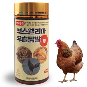 삼전약품 보스웰리아 우슬닭발환 230g, 1개