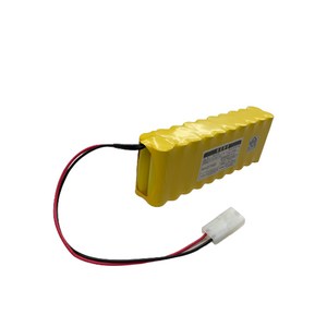 케이원 포레소 소방예비전원 DC 24V AA 600mAh (2x10), 1개