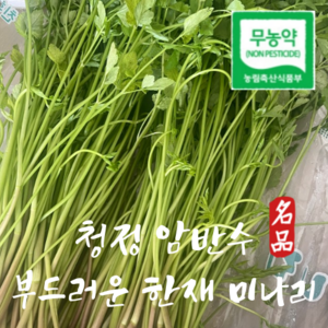 신선한 청도 한재 무농약 미나리, 1kg, 1개