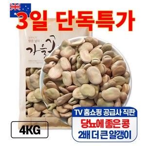 큰나무 자이언트 파바빈 대용량 4kg 공식 수입사 직판 당뇨콩, 1개