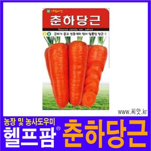 헬프팜 춘하당근 2000립 씨앗 아람종묘 종자, 1개