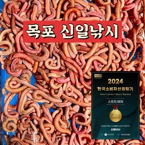 목포 신일낚시/국산 참갯지렁이/홍거시/혼무시/집거시/청거시, 청거시 200g, 1개