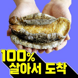 복다미 전복선물세트 특대 완도전복직거래, 12호, 1세트, 2kg