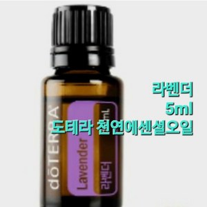 한가위헤어 [정품}도테라 천연에센셜오일 도테라 라벤더 5ml 아로마테라피 힐링, 1개