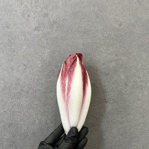 생 레드엔다이브 500g, 5개