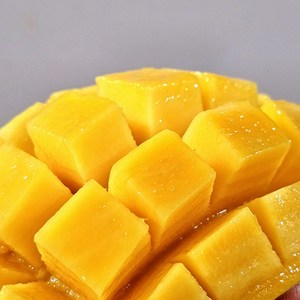 한정수량 18bix 고당도선별 마하차녹 무지개망고, 1박스, 1kg(2-4과)