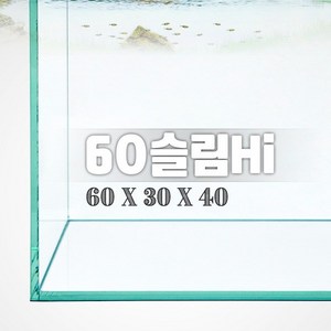 그린월드60 슬림Hi 수조 (일반) (60x30x40 6T), 1개