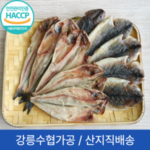 국내산 동해안 손질 반건조 임연수 이면수 구이용 HACCP 해썹 5미 5마리 10미 10마리, 1세트, 중임연수10미(450g x2)