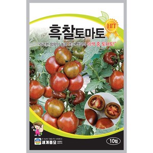 [모종심는아빠] 라이코펜 함량이 높은 초코 색상의 흑찰토마토 종자 10립, 1개