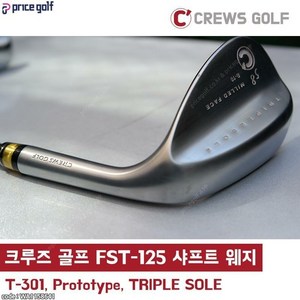 크루즈 골프 FST-125g S플렉스 샤프트 전문 웨지 최적스핀밀드(비공인), 모델 T-301 : 58도