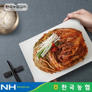 한국농협김치 전라도 순천 남도 포기김치 (서울식) 10kg, 1개