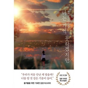 너는 기억 못하겠지만:후지마루 장편소설, 아르테(ate), 후지마루 저/김은모 역