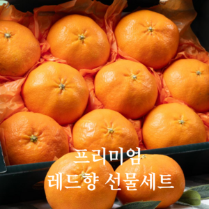 [프리미엄]청정제주 고당도 레드향 선물세트, 1박스, 3kg