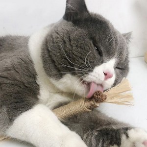 고냥냥 마따따비 캣닢 고양이 장난감, 3개