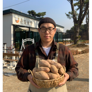 은일농장 강화 속노랑고구마 3kg 5kg 10kg 은일농장 직접 재배한 강화도 호박고구마, 특상 5kg, 1개