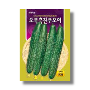 오이씨앗 종자 흑진주 50립 가시오이, 1개