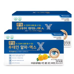 광동생활건강 루테인 알파-엑스 500mg 4개월분 눈건강, 120정, 2개