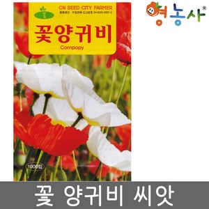 꽃양귀비 씨앗 1000립 관상용 양귀비꽃 종자, 허브 씨앗, 타임 1000립, 1개