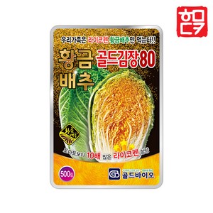 황금배추 씨앗 500립 라이코펜 함유 김장 절임 품종, 1개