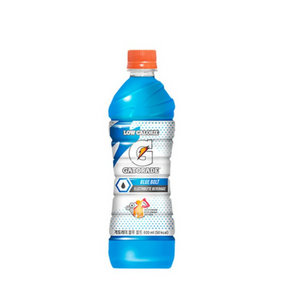 게토레이 블루볼트 펫, 600ml, 10개