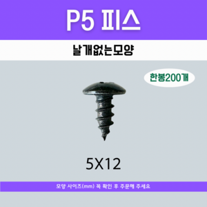 (P5)5X12 피스 날개없는모양 200개