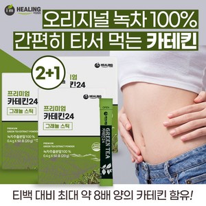 녹차 카테킨24 녹차추출분말 추출물, 400mg, 50개입, 3개