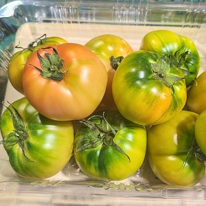 [만족도높은] 단짠단짠 부산 대저짭짤이토마토 정품, 1개, 1kg (대저 찰 토마토/L~2L 대과)