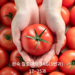 [신선보장] 아침에 따서 그날 보내는 완숙토마토, 3번과, 1개, 3kg