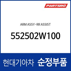 암-리어 어시스트 (552502W100) 맥스크루즈 올뉴 싼타페 (DM) 뉴 쏘렌토R (XM), 1개