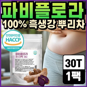 파비플로라 추출물 100% 식약청인증 자색생강 흑생강 분말 차 티백 H.딜리버리, 1개, 36g