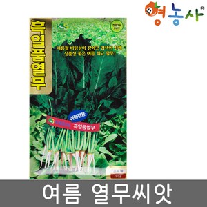 흑일품 여름 열무씨앗 25g 단묶음용 열무, 1개