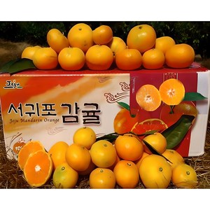 황금농원 서귀포 고당도 조생 귤 첫출하, 5kg[로얄소과(2S-M)], 1박스