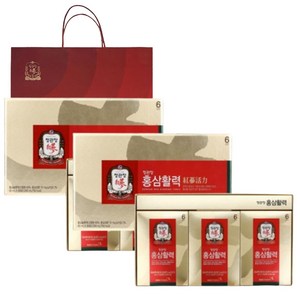 정관장 홍삼활력 40ml x 30포 2개 60포 쇼핑백 포함 6년근 홍삼즙 명절 선물세트, 2박스