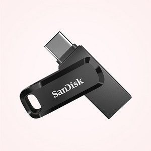 샌디스크 울트라 듀얼드라이브 고 USB Type C USB 메모리, 256GB