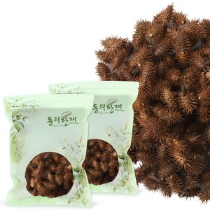 동의한재 국산 볶은 도꼬마리 창이자, 500g, 2개