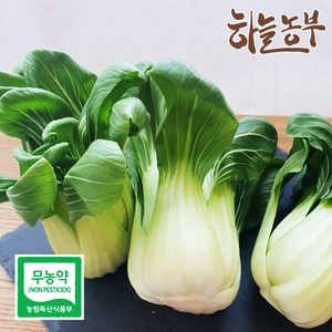 하늘농부 친환경 청경채, 1개, 청경채 150g