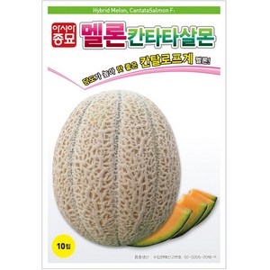 아시아종묘 칸탈로프 멜론씨앗 칸타타살몬 (10립), 1개