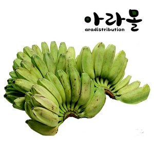 아라몰 그린 사바 바나나 (Geen Saba Banana), 1.5kg, 1개