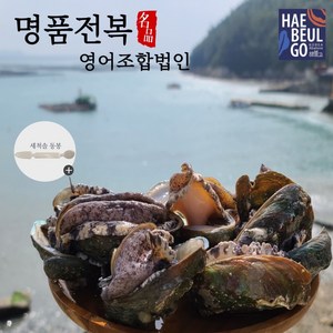 완도 명품 활전복 특대 7-8미 1kg [손질솔 증정], 1개