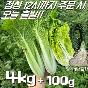 [꿀야채 얼갈이배추] 물 좋은 철원 산지직송 얼갈이배추, 1개, 4kg