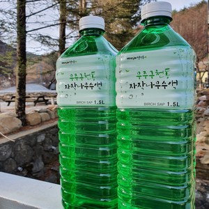 무주구천동 자작나무수액 자작나무물, 5개, 1.5L