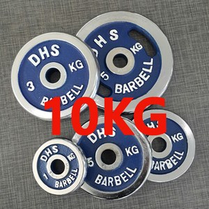 DHS 도금원판, 10kg, 1개